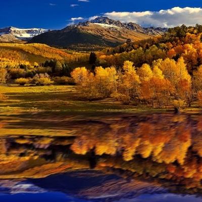 皇冠·app(中国)下载官方版app下载截图